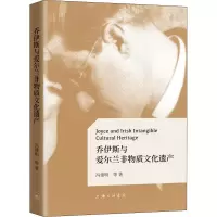 音像乔伊斯与爱尔兰非物质文化遗产冯建明 等