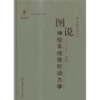 音像图说神经系统组织动力学史学义,史万刚著