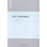 音像电视产业多屏战略研究连少英著