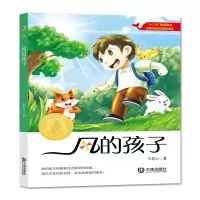 音像风的孩子/大白鲸原创幻想儿童文学作品王君心