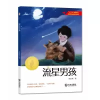 音像大白鲸原创幻想儿童文学作品:流星男孩顾宏英 著