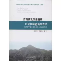 音像古地貌低渗透油藏的形成机制与富集规律张凤奇