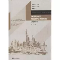 音像中国都市区就业空间演化研究赵虎