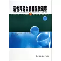 音像活污泥物相显微观察施悦//李永峰//李宁//邝柳枝
