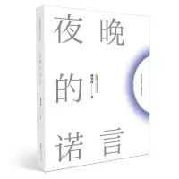 音像夜晚的诺言/邱华栋长篇小说精品系列邱华栋