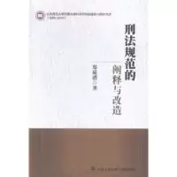 音像刑法规范的阐释与改造郑延谱著