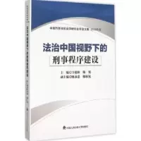 音像法制中国视野下的刑事程序建设卞建林,陈旭主编