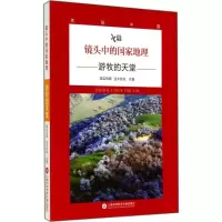 音像镜头中的地理真实传媒