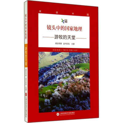 音像镜头中的地理真实传媒