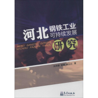 音像河北钢铁工业可持续发展研究赵燕娜