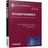 音像电力电缆中的电磁暂态/国际电气工程技术译丛