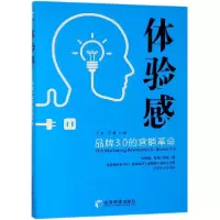音像体验感(品牌3.0的营销)汪吉//汪豪