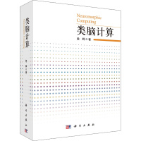 音像类脑计算危辉