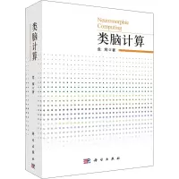 音像类脑计算危辉