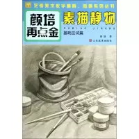 音像素描静物颜培