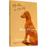 音像拯救小肉桂Christine Sullivan
