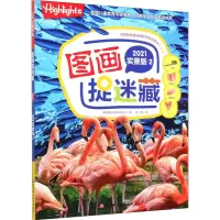 音像图画捉迷藏 2 2021实景版美国童光萃集出版社
