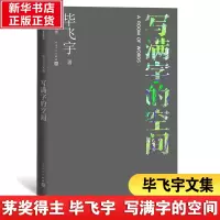 音像写满字的空间飞宇
