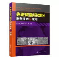 音像碳酸钙微粉制备技术与应用编者:蒋久信//张高文//朱彦