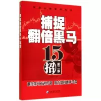 音像捕捉翻倍黑马15招李凤雷