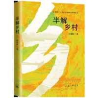 音像半解乡村/桂林理工大学公共经济与管理丛书刘成晨