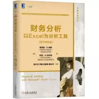 音像财务分析(以Excel为分析工具原书第8版)/金融教材译丛