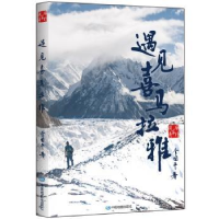 音像遇见喜马拉雅李国平著