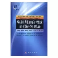 音像驱油剂加合增效基础研究进展孙焕泉[等]编著