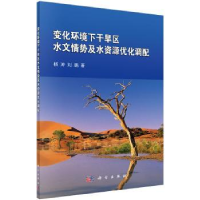 音像变化环境下干旱区水文情势及水资源优化调配