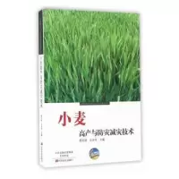 音像小麦高产与防灾减灾技术郭天财,王永华主编