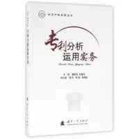 音像专利分析运用实务董新蕊,朱振宇主编