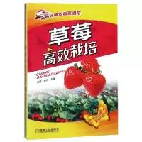 音像草莓高效栽培(双色印刷)/高效种植致富直通车编者:杨雷//杨莉