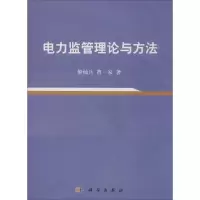 音像电力监管理论与方法黎灿兵