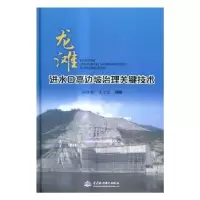 音像龙滩进水口高边坡治理关键技术赵红敏,夏宏良编著