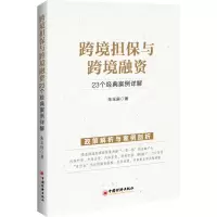 音像跨境担保与跨境融资(个经典案例详解)朱玉庚