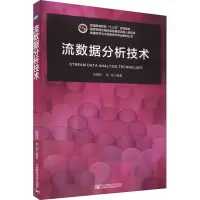 音像流数据分析技术作者