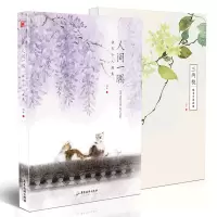 音像人间一隅:桃年个人画集附多用画册桃年