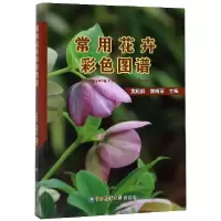 音像常用花卉彩色图谱编者:黄超群//屠娟丽