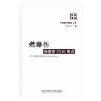 音像燃爆伤张国安2016观点张国安著
