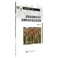 音像甜高粱苗期对苏打盐碱胁迫的适应机制戴凌燕著