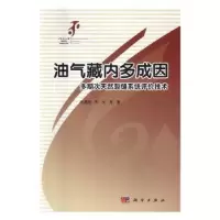 音像油气藏内多成因多期次天然裂缝系统评价技术邓虎成,周文等著