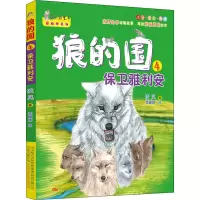 音像狼的国 4 保卫雅利安凌岚