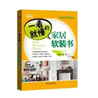 音像一看就懂的家居软装书理想·宅编