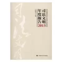 音像司法文明年度报告:2015江国华主编