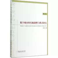 音像数字城市的实施策略与模式研究薛凯