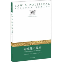 音像论不服从(美)路易斯·迈克尔·希德曼著