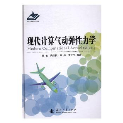 音像现代计算气动弹力学徐敏,安效民,康伟 等