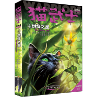 音像燃烧之星 新译本(英)艾琳·亨特