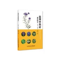 音像实用材栽培技术王渭玲,盛晋华,王良信编著