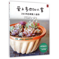 音像爱上多肉仙人掌(200种超萌懒人植物)(日)松山美纱|译者:高青